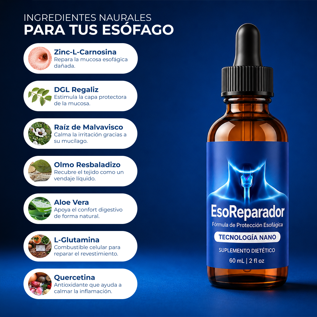 Reparador Esófago
